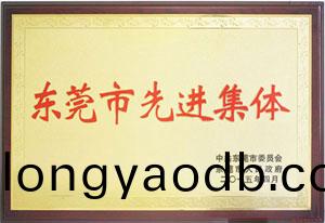東莞市先進集體